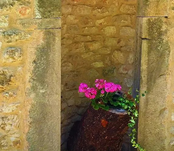 Mirossi Alba Grižane
